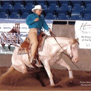 Meet your Posher, Stephany